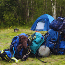 Essential Hiking Gear for Every Season: Your Comprehensive Guide